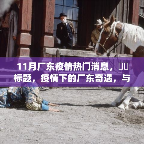疫情下的厂东奇遇，自然美景与内心宁静之旅的探寻之路。