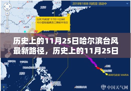 揭秘历史中哈尔滨台风路径，揭秘11月25日台风最新路径回顾