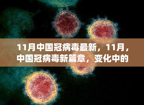 中国冠病毒新篇章，学习变迁与成就自信的光辉（11月最新动态）