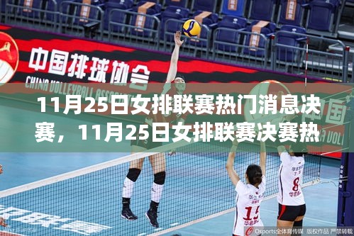 11月25日女排联赛决赛热门消息全解析与介绍
