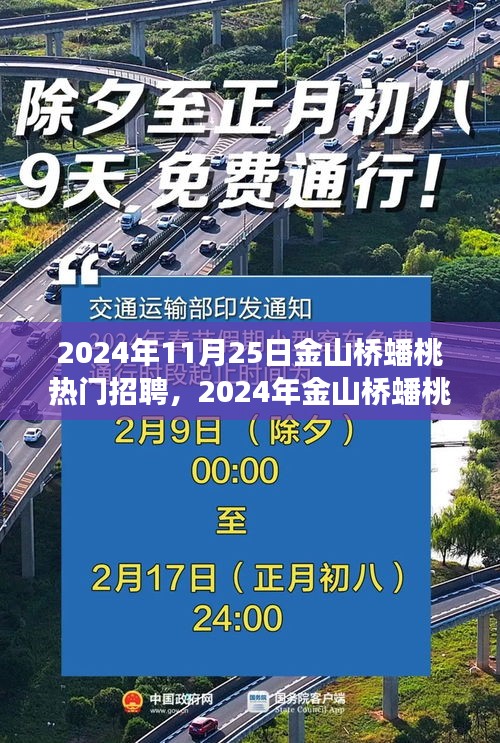 2024年金山桥蟠桃招聘热潮，现象与观点分析