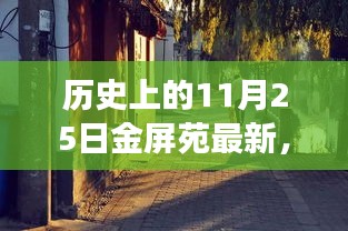 探秘金屏苑，历史深处的神秘小巷美食之旅最新报道（11月25日更新）