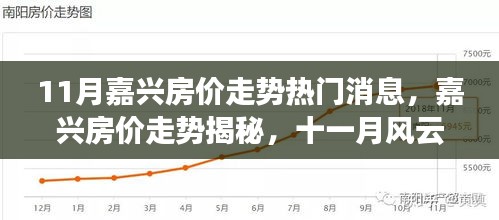 揭秘嘉兴房价走势，十一月风云再起，探寻背后的故事与未来展望