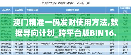 澳门精准一码发财使用方法,数据导向计划_跨平台版BIN16.94