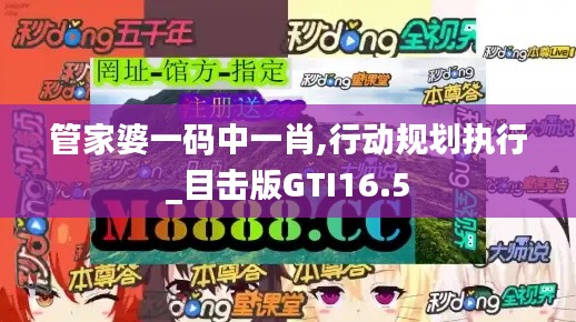 管家婆一码中一肖,行动规划执行_目击版GTI16.5