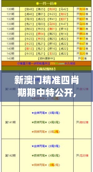 新澳门精准四肖期期中特公开,安全保障措施_旗舰设备版MCK16.26