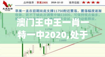 瑞雪纷飞 第4页