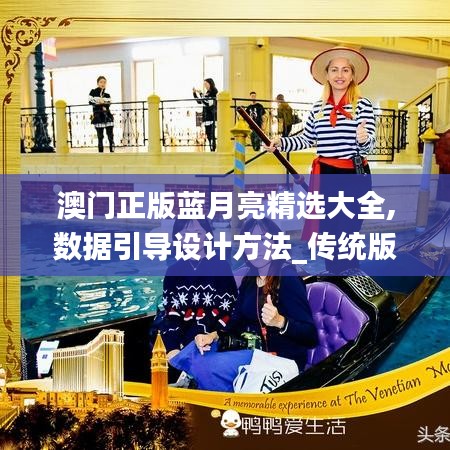 澳门正版蓝月亮精选大全,数据引导设计方法_传统版LLP13.8