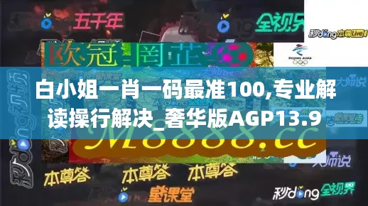 白小姐一肖一码最准100,专业解读操行解决_奢华版AGP13.9