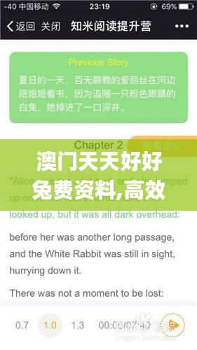 澳门天天好好兔费资料,高效运行支持_交互版RYT16.63