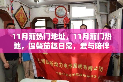 11月茄门热门地址，暖心之旅，茄趣日常的陪伴与爱