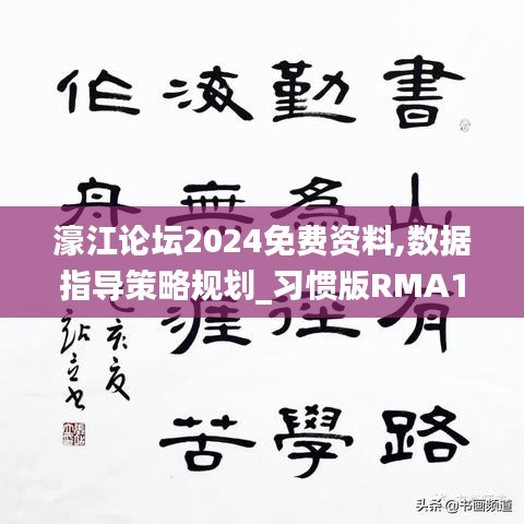 濠江论坛2024免费资料,数据指导策略规划_习惯版RMA16.41