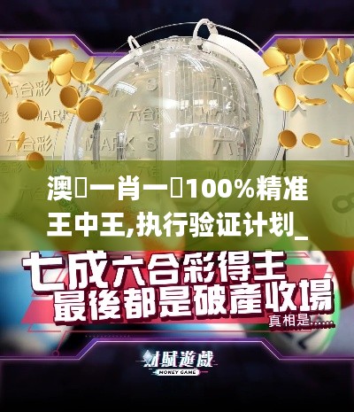 澳門一肖一碼100%精准王中王,执行验证计划_人工智能版EJL16.43