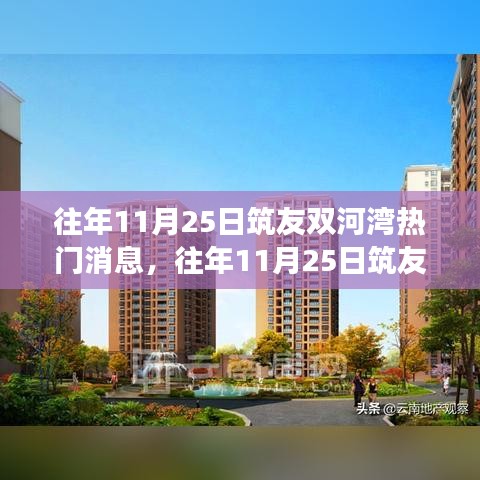 往年11月25日筑友双河湾热门消息深度解析与个人观点阐述