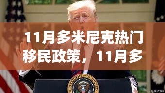 多米尼克移民政策详解，成功申请的步骤与指南（11月版）