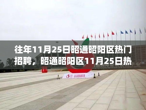 昭通昭阳区11月25日招聘日，求职路上的温情与友情纽带