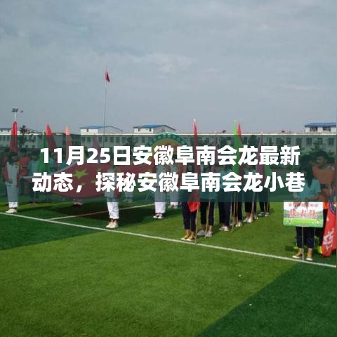 安徽阜南会龙小巷的独特风味，最新动态揭秘日纪实