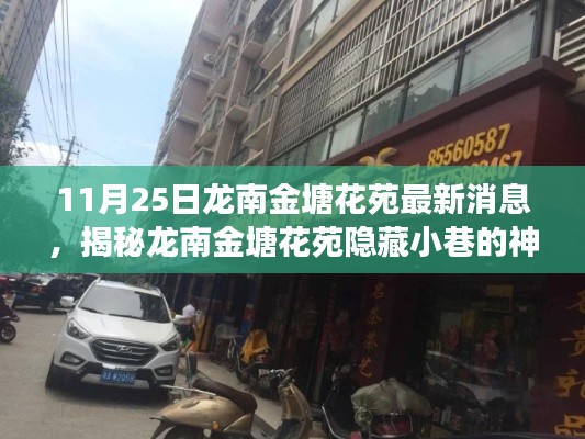 龙南金塘花苑神秘美食之旅，揭秘隐藏小巷的不期而遇美食奇遇记