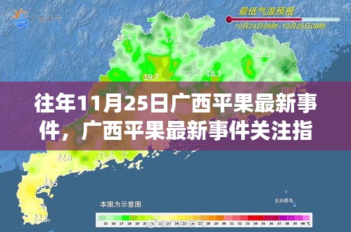 广西平果最新事件关注指南，往年11月25日事件进展与跟进理解方法