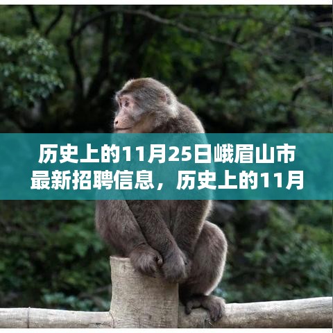 历史上的11月25日峨眉山市最新招聘信息深度解析与观点阐述