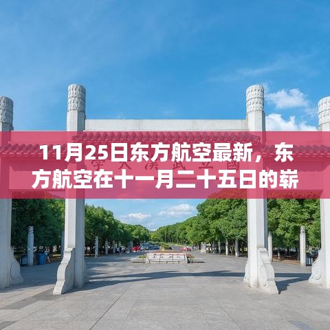 东方航空十一月二十五日新篇章，背景、事件回顾与影响分析