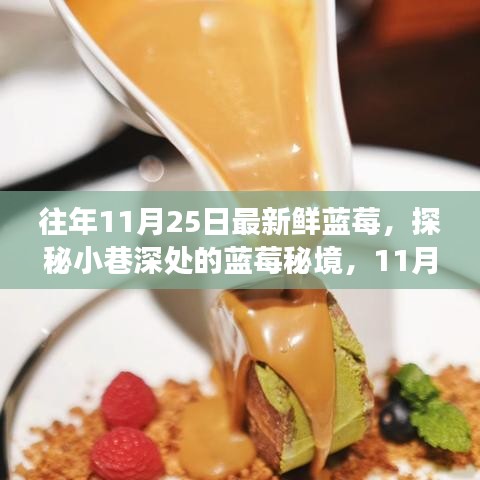 探秘小巷深处的蓝莓秘境，11月最新鲜蓝莓的饕餮之旅