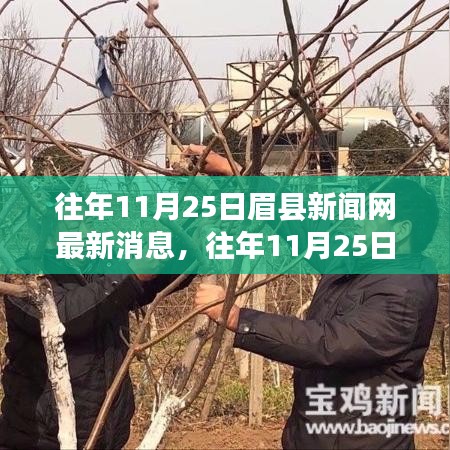 眉县新闻网历年11月25日重要新闻回顾与最新消息速递