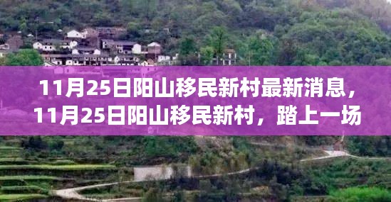 11月25日阳山移民新村踏自然之旅，心灵宁静之地的新消息