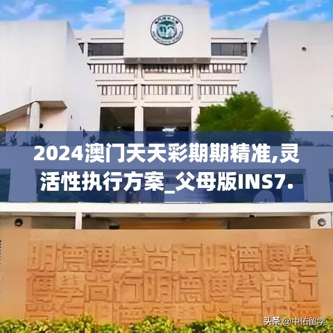 2024澳门天天彩期期精准,灵活性执行方案_父母版INS7.19