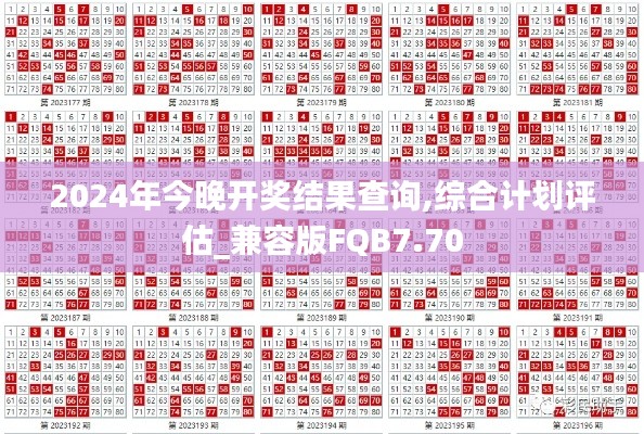 2024年今晚开奖结果查询,综合计划评估_兼容版FQB7.70