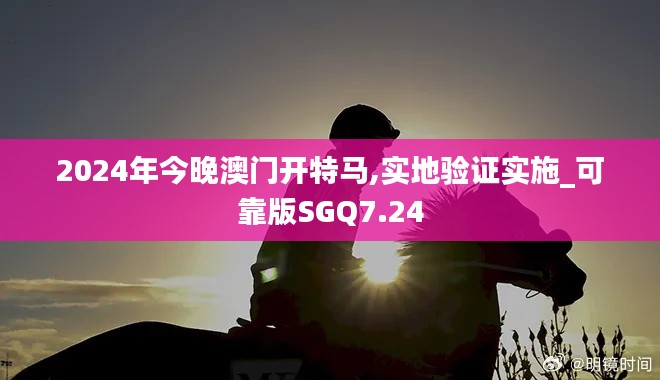 2024年今晚澳门开特马,实地验证实施_可靠版SGQ7.24