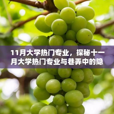 探秘十一月大学热门专业与隐藏瑰宝，专业选择与未来展望