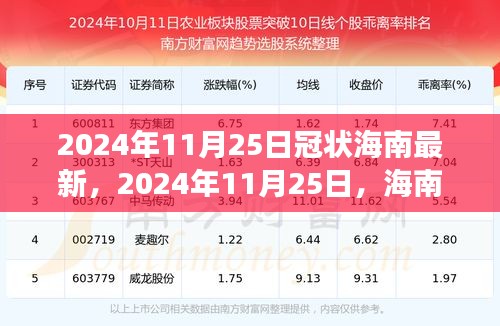 海南之冠，自然美景的治愈之旅 2024年11月25日最新动态