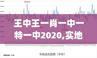 王中王一肖一中一特一中2020,实地数据评估分析_影像版DLZ7.13