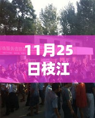 枝江杀人案最新科技产品解析，科技震撼时刻揭秘最新进展