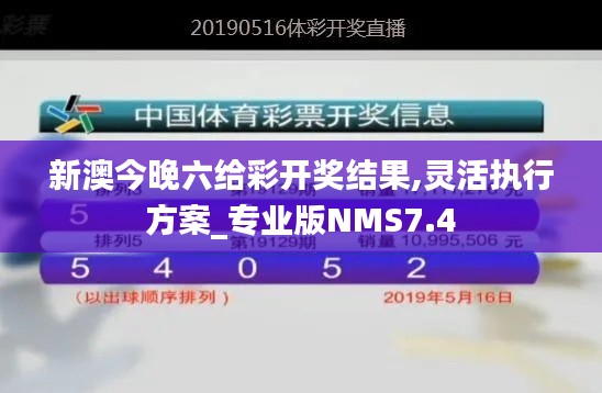 新澳今晚六给彩开奖结果,灵活执行方案_专业版NMS7.4