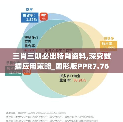 三肖三期必出特肖资料,深究数据应用策略_图形版PPR7.76