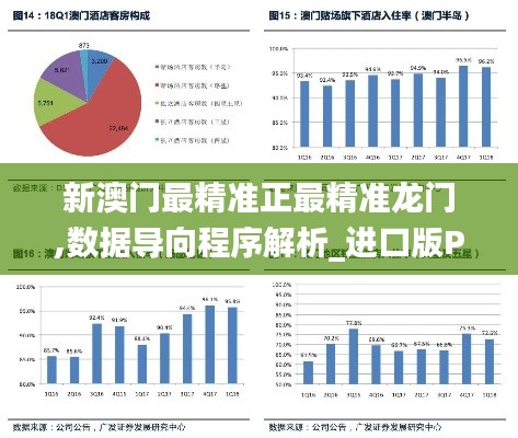 新澳门最精准正最精准龙门,数据导向程序解析_进口版PPN7.47