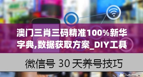 澳门三肖三码精准100%新华字典,数据获取方案_DIY工具版ACT7.31