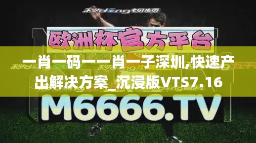 一肖一码一一肖一子深圳,快速产出解决方案_沉浸版VTS7.16