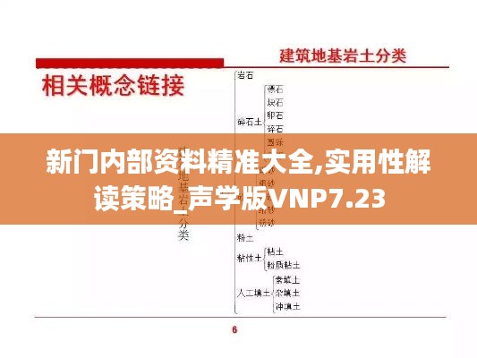 新门内部资料精准大全,实用性解读策略_声学版VNP7.23