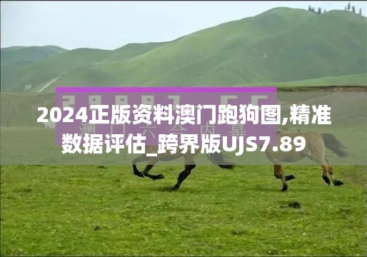2024正版资料澳门跑狗图,精准数据评估_跨界版UJS7.89