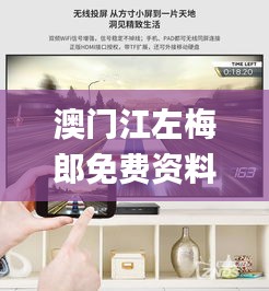 澳门江左梅郎免费资料,专业数据解释设想_外观版AWP7.59