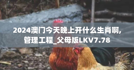 2024澳门今天晚上开什么生肖啊,管理工程_父母版LKV7.78