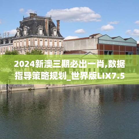 2024新澳三期必出一肖,数据指导策略规划_世界版LIX7.50