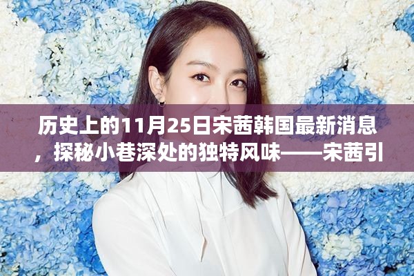 宋茜引领的韩国美食之旅，11月25日的独特风味探秘