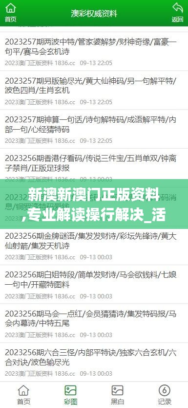 新澳新澳门正版资料,专业解读操行解决_活力版VIF7.89