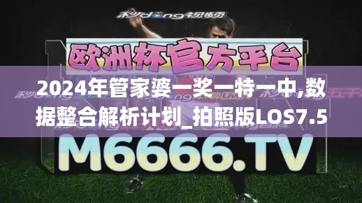 2024年管家婆一奖一特一中,数据整合解析计划_拍照版LOS7.51