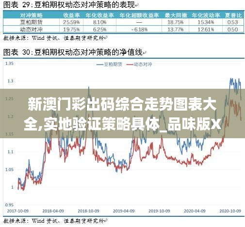 新澳门彩出码综合走势图表大全,实地验证策略具体_品味版XPZ7.30