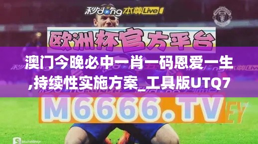 澳门今晚必中一肖一码恩爱一生,持续性实施方案_工具版UTQ7.76